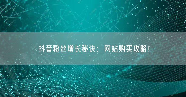 抖音粉丝增长秘诀：网站购买攻略！