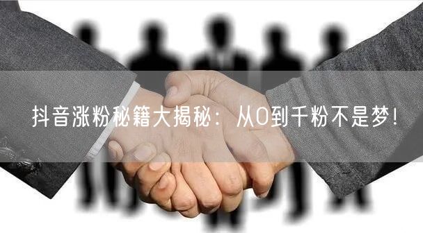 抖音涨粉秘籍大揭秘：从0到千粉不是梦！