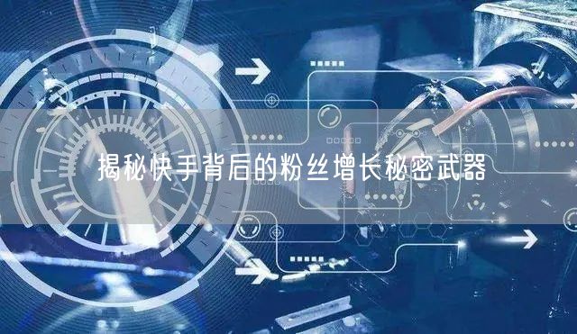 揭秘快手背后的粉丝增长秘密武器