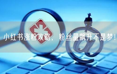 小红书涨粉攻略，粉丝量飙升不是梦！