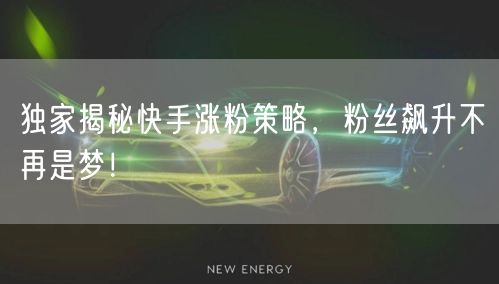 独家揭秘快手涨粉策略，粉丝飙升不再是梦！
