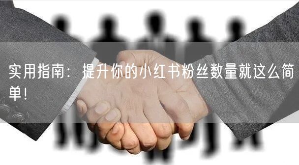 实用指南：提升你的小红书粉丝数量就这么简单！