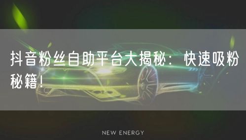 抖音粉丝自助平台大揭秘：快速吸粉秘籍！