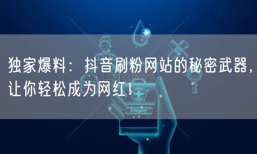 独家爆料：抖音刷粉网站的秘密武器，让你轻松成为网红！