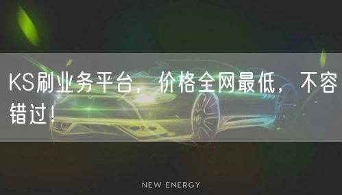 KS刷业务平台，价格全网最低，不容错过！