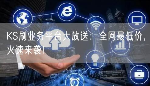 KS刷业务平台大放送：全网最低价，火速来袭！