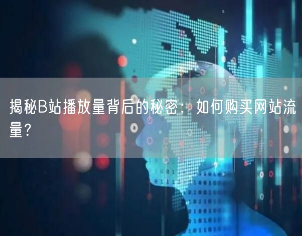 揭秘B站播放量背后的秘密：如何购买网站流量？
