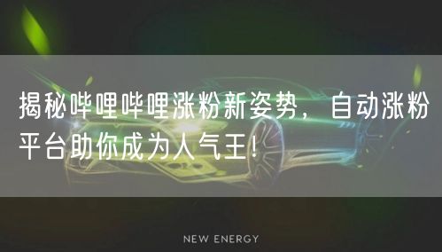 揭秘哔哩哔哩涨粉新姿势，自动涨粉平台助你成为人气王！