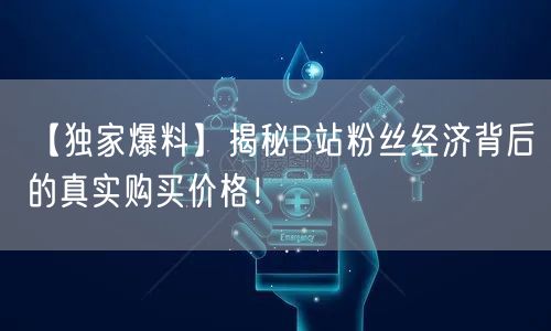【独家爆料】揭秘B站粉丝经济背后的真实购买价格！
