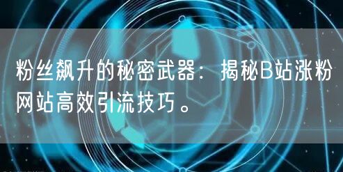 粉丝飙升的秘密武器：揭秘B站涨粉网站高效引流技巧。