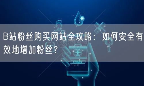 B站粉丝购买网站全攻略：如何安全有效地增加粉丝？