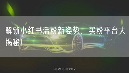 解锁小红书活粉新姿势，买粉平台大揭秘！