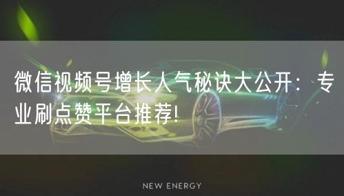 微信视频号增长人气秘诀大公开:专业刷点赞平台推荐!