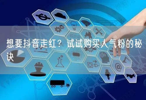 想要抖音走红?试试购买人气粉的秘诀