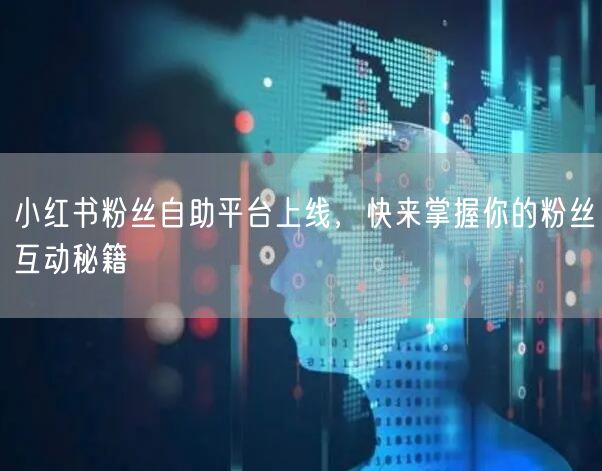 小红书粉丝自助平台上线，快来掌握你的粉丝互动秘籍