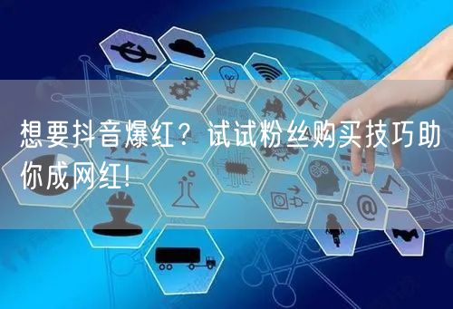 想要抖音爆红？试试粉丝购买技巧助你成网红!