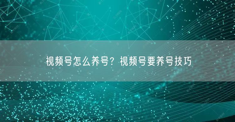 视频号怎么养号？视频号要养号技巧