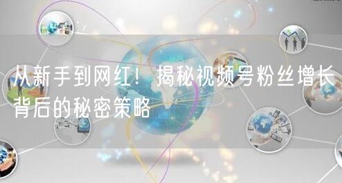 从新手到网红！揭秘视频号粉丝增长背后的秘密策略