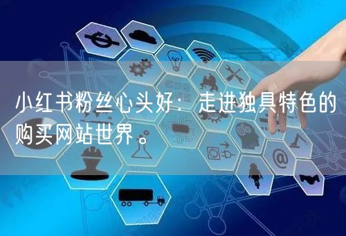 小红书粉丝心头好：走进独具特色的购买网站世界。