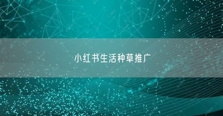 小红书生活种草推广