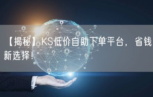【揭秘】KS低价自助下单平台，省钱新选择！