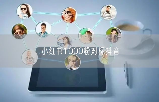 小红书1000粉对标抖音