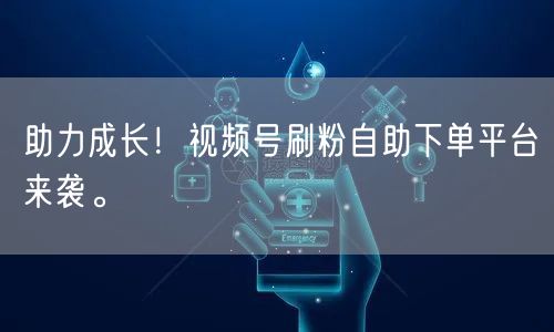 助力成长！视频号刷粉自助下单平台来袭。