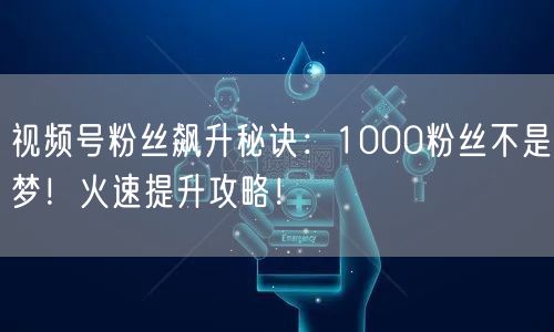 视频号粉丝飙升秘诀：1000粉丝不是梦！火速提升攻略！