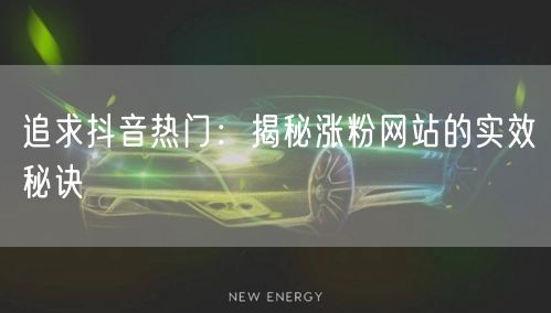 追求抖音热门：揭秘涨粉网站的实效秘诀