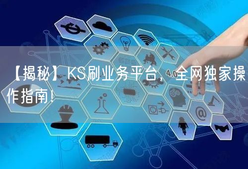 【揭秘】KS刷业务平台，全网独家操作指南！