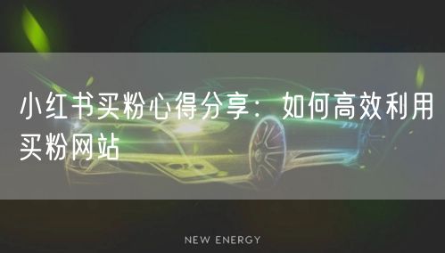 小红书买粉心得分享：如何高效利用买粉网站