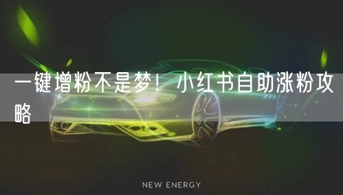 一键增粉不是梦！小红书自助涨粉攻略