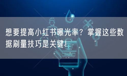 想要提高小红书曝光率？掌握这些数据刷量技巧是关键！