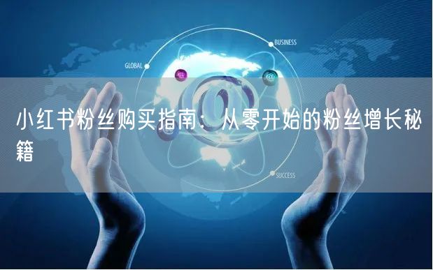 小红书粉丝购买指南：从零开始的粉丝增长秘籍