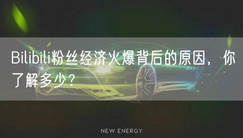 Bilibili粉丝经济火爆背后的原因，你了解多少？