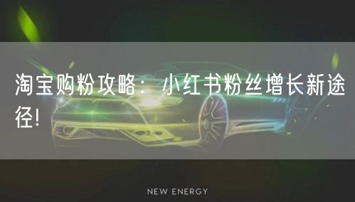 淘宝购粉攻略：小红书粉丝增长新途径!