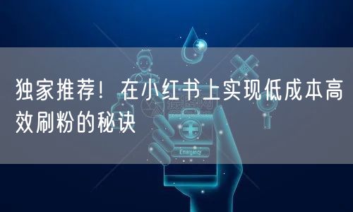 独家推荐！在小红书上实现低成本高效刷粉的秘诀