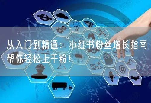 从入门到精通：小红书粉丝增长指南帮你轻松