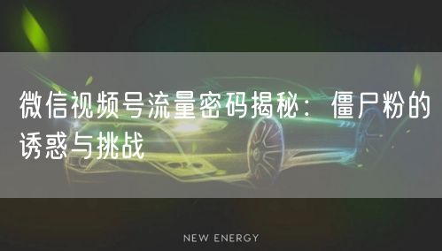 微信视频号流量密码揭秘：僵尸粉的诱惑与挑战