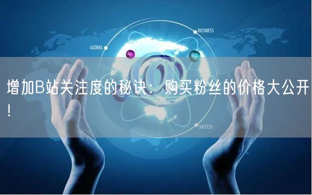 增加B站关注度的秘诀：购买粉丝的价格大公开！