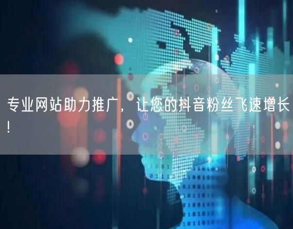 专业网站助力推广，让您的抖音粉丝飞速增长!