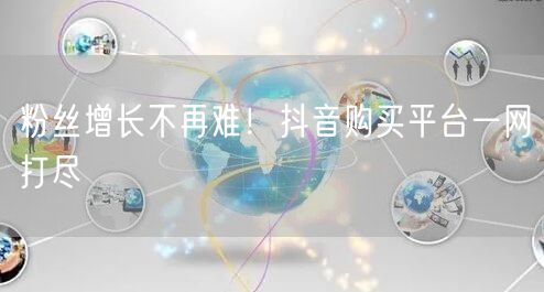 粉丝增长不再难！抖音购买平台一网打尽
