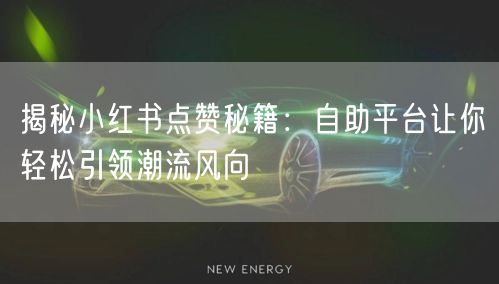 揭秘小红书点赞秘籍：自助平台让你轻松引领潮流风向