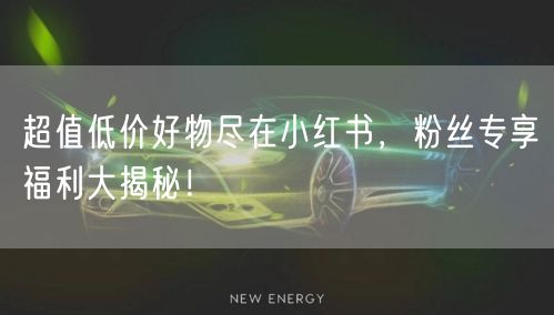 超值低价好物尽在小红书，粉丝专享福利大揭秘！