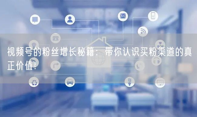 视频号的粉丝增长秘籍：带你认识买粉渠道的真正价值！