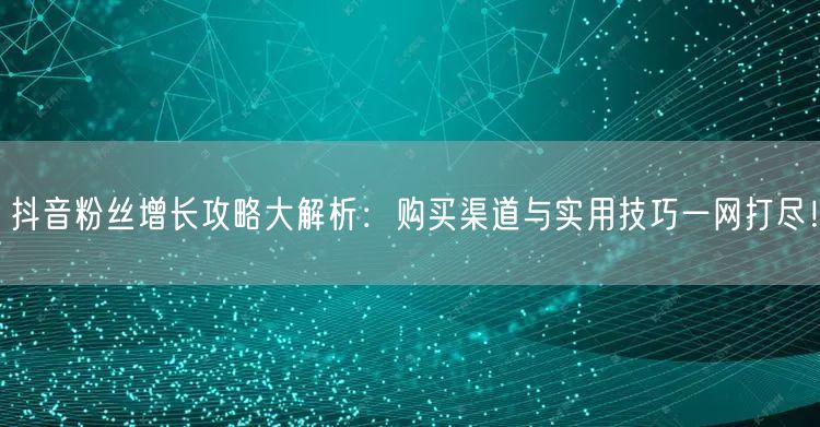 抖音粉丝增长攻略大解析：购买渠道与实用技巧一网打尽！