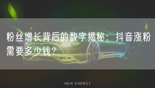 粉丝增长背后的数字揭秘：抖音涨粉需要多少钱？