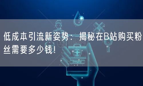 低成本引流新姿势：揭秘在B站购买粉丝需要多少钱！