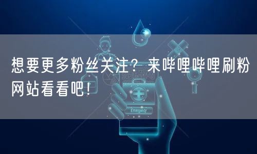 想要更多粉丝关注？来哔哩哔哩刷粉网站看看吧！