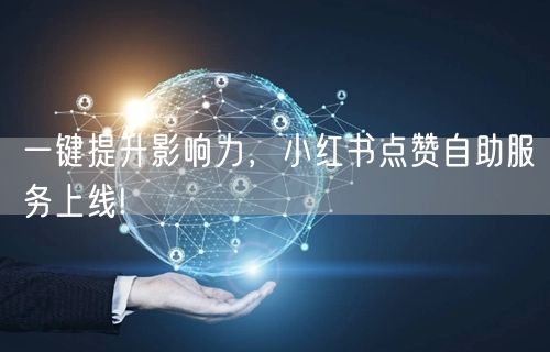 一键提升影响力，小红书点赞自助服务上线!